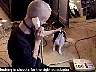 puppy1.jpg